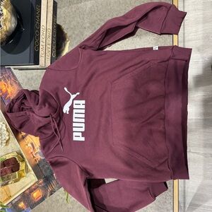 Puma Maroon Hoodie